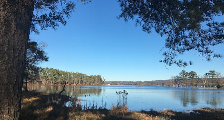 Prime location to take in scenic lake views and observe waterfowl. Photo by Donna Kridelbaugh. Photo by Jim Olyniec