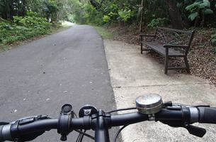 Seminole Wekiva Trail