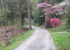 Section of Carriage Trail in Spring. Photo by Kenny Williams