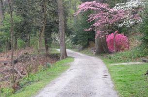 Sunrise Carriage Trail