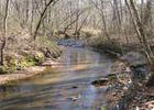 Flowing Coon Creek. Photo by Wayne Barger