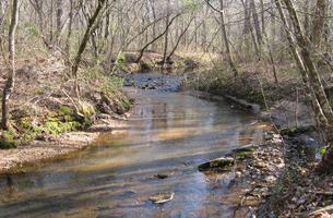 The Forever Wild Coon Creek Trail System