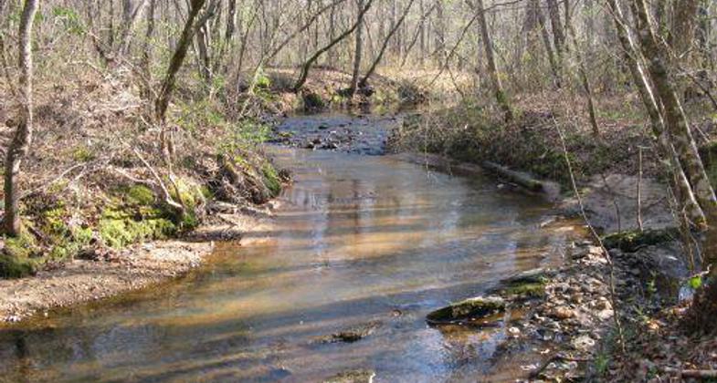 Flowing Coon Creek. Photo by Wayne Barger