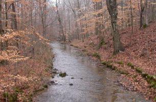 The Forever Wild Shoal Creek Preserve Trail System