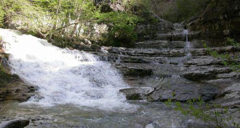 Headwaters of the Paint Rock River (Turkey Creek). Photo by State Lands Employee