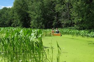 Verchota Canoe Trail