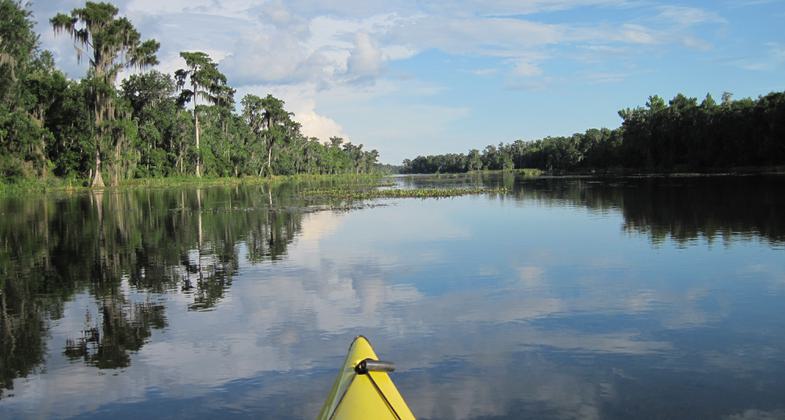 Paddling the Wacissa River. Photo by Doug Alderson.