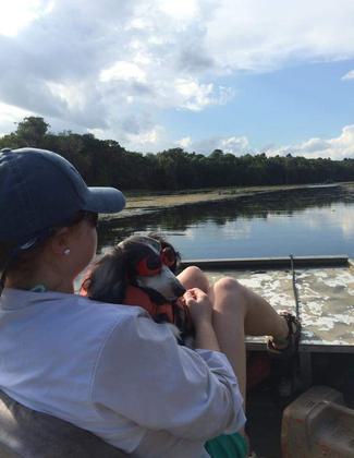 Pup enjoying an afternoon boat ride. Photo by Britney Moore.