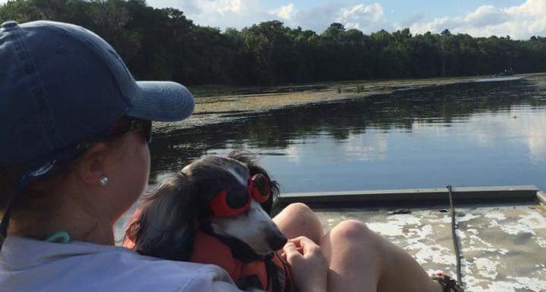 Cypress swamp along the Wacissa Paddling Trail, FL; photo by Doug Alderson.
