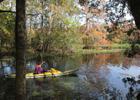 Cypress swamp along the Wacissa Paddling Trail, FL; photo by Doug Alderson.