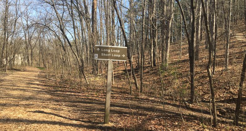 Double loop trail with short or long loop option. Photo by Donna Kridelbaugh.