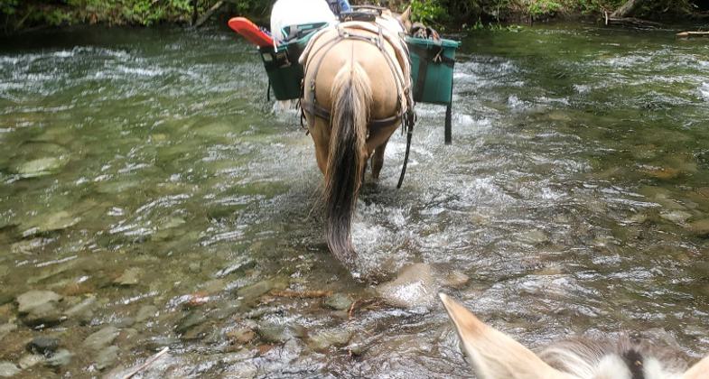 New NRT sign placed on the Middle Fork Trail.