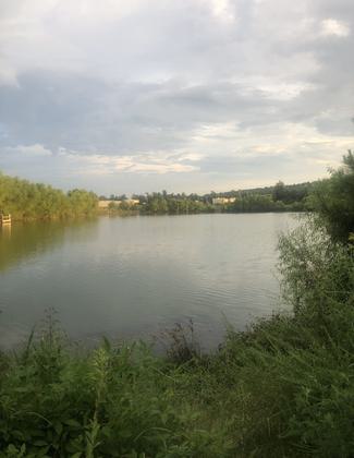 At the Ponds in Harvest. Photo by Virginia Barber.