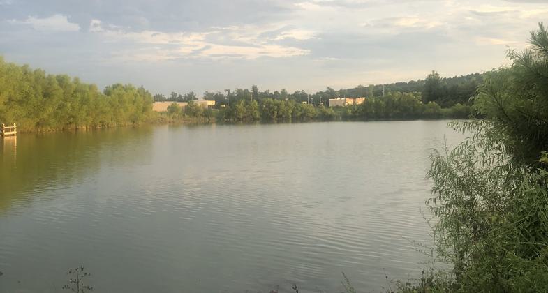 Winner 2022 NRT Photo Contest, Youth and Volunteers. Photo by Jim Teed.