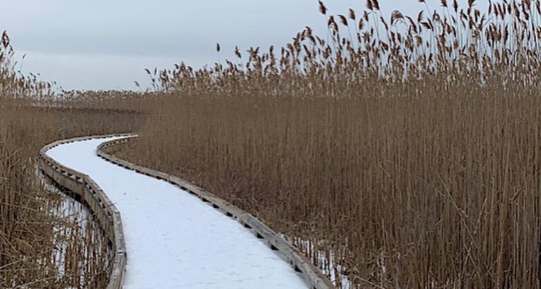 A Viewpoint (Feb 2022). Photo by Janie Walker.