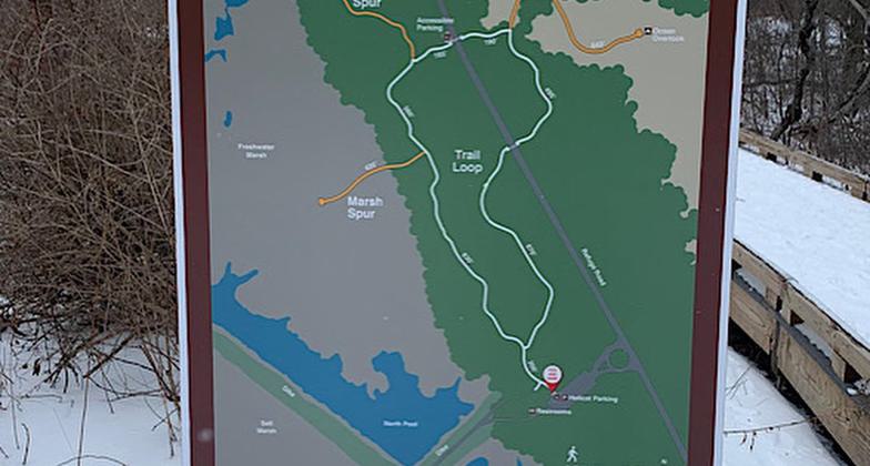 Feb 2022 visit. Photo by Janie Walker.