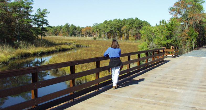A person enjoys the serene view from the Holland Glade Overlook on the Junction and Breakwater Trail. Photo by Avery Dunn.