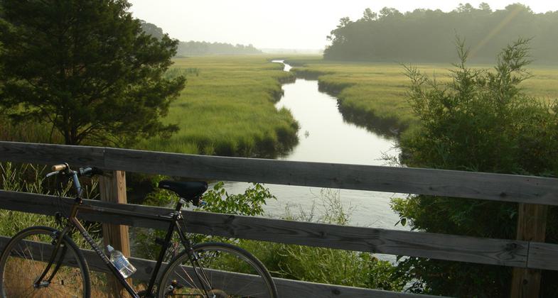 Scenic views from the Wolfe Glade Overlook on the Junction and Breakwater Trail. Photo by Avery Dunn.