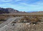 Nadeau Trail in Panamint Valley. Photo by Marty Dickes