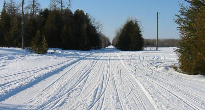 Beautiful landscape along the NEST. Photo by Emily Meyerson