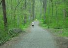 Runners along the Northern Delaware Greenway Trail.