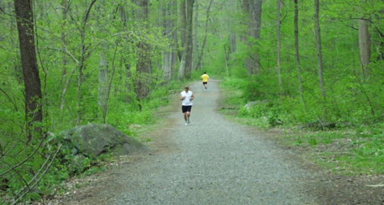Runners along the Northern Delaware Greenway Trail.