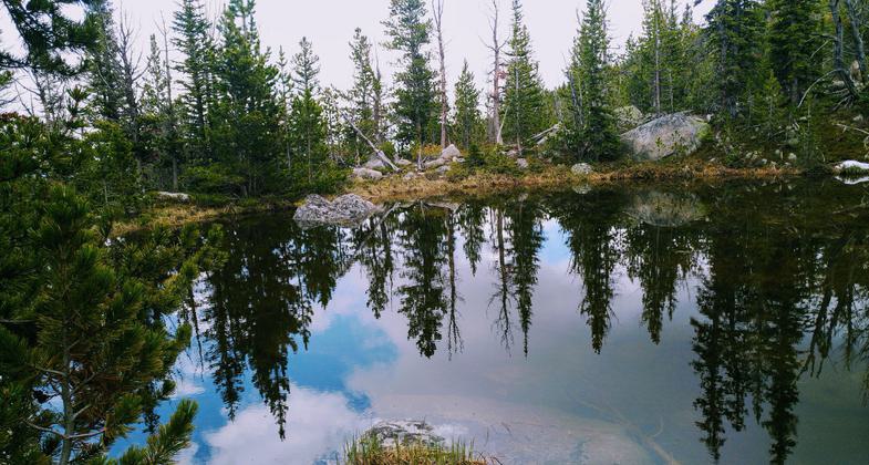 Photo by Kasie Haack.