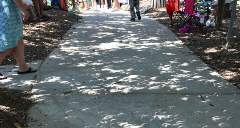 Three Rivers Greenway - near the West Columbia Riverwalk Park and Amphitheater. Photo by Jim Walla.