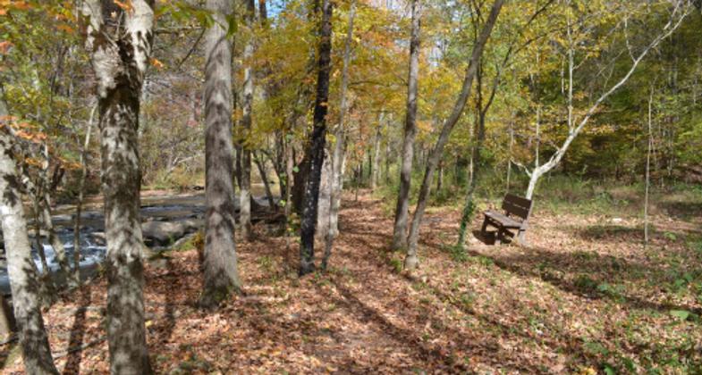 The Eagle Scout Trail at Turkey Creek. Photo by Charles Yeager