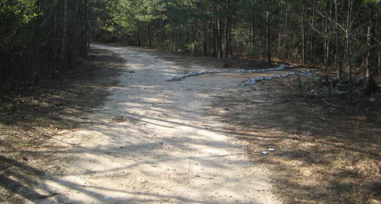 Mountain Bike Trail