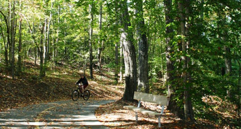 Photo by David Firestine.