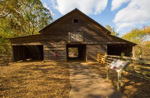 McDaniel Farm Park Trails