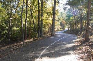 Settles Bridge Park Trails