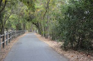 Ventura River Parkway Trail