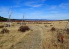 The Nez Perce Camp Trail with the Sapphire Mountains in the distance. Photo by David Lingle.