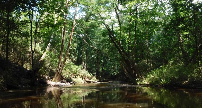Autauga Creek. Photo by Sheila DeRamus Wood.