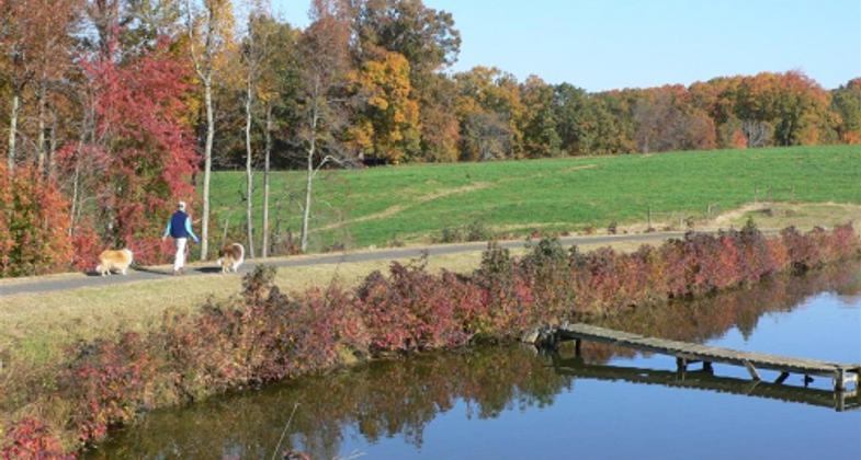 Crossing the Turkey Pond Dam. Photo by Lindley Butler