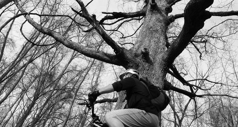 Bike Trail Jump