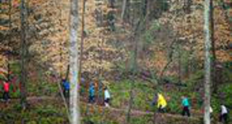 Runners Lake Loop