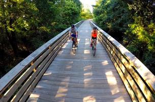 The Tanglefoot Trail