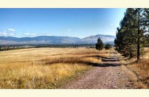 Blue Mountain Equestrian Trail