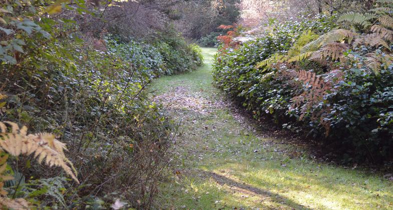 Interior trail near middle of property.