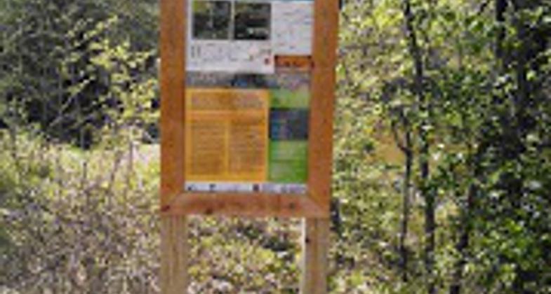 Picture from the Paddlers Camp