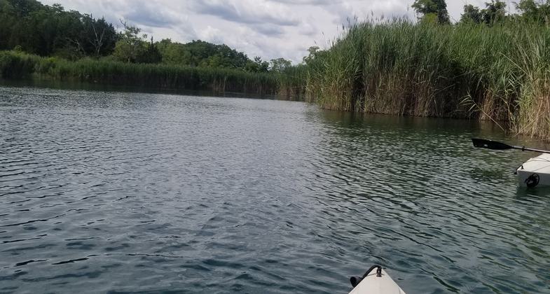 Photo 1 from one of the Sandhill Crane Paddles.