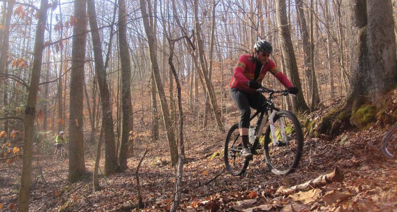 Exploring Bays Mountain Park's Trails. Photo by Tennessee Department of Tourist Development