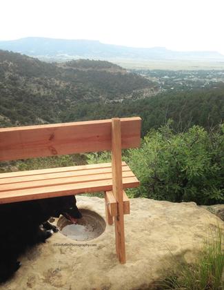 View from Scenic Overlook