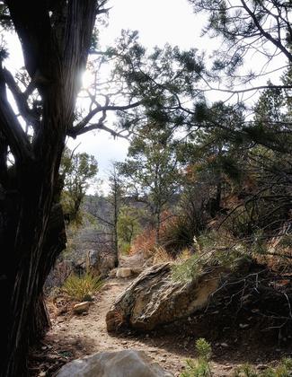 View of Nature Trail