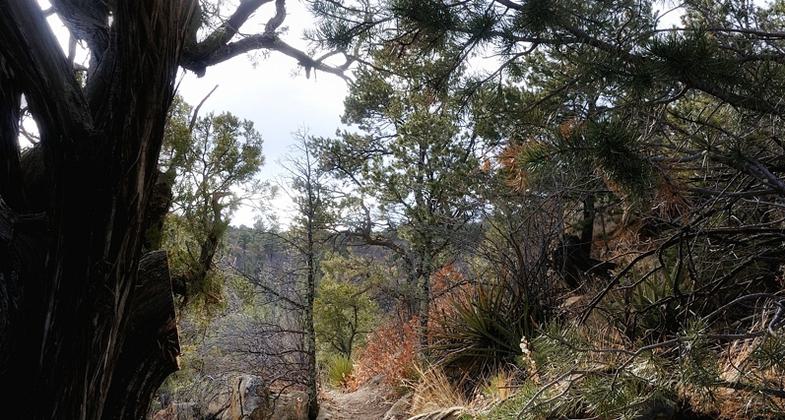 Nature Trail Dedication and Grand Opening