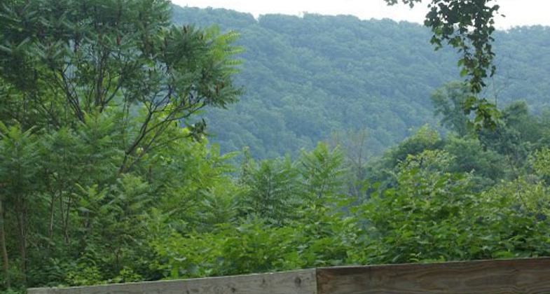 2020 NRT Photo Contest Winner - Health and Fitness. Photo by Cory Shoff.