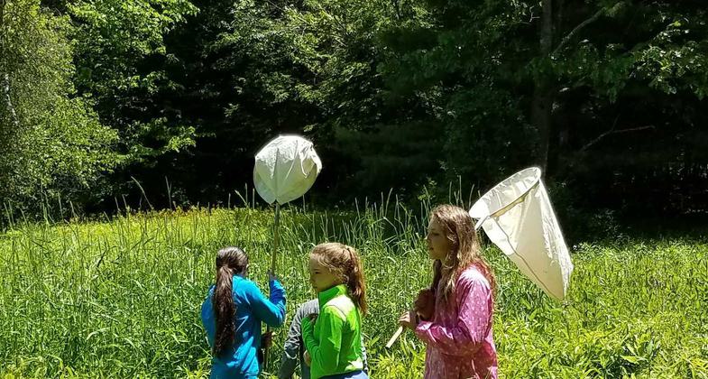 trail with culvert to be repaired